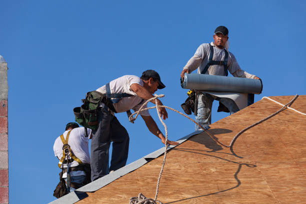 Best Flat Roof Repair Services  in Medford, MN